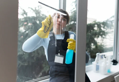 Nettoyage de vitres intérieures et extérieures à Trémoins